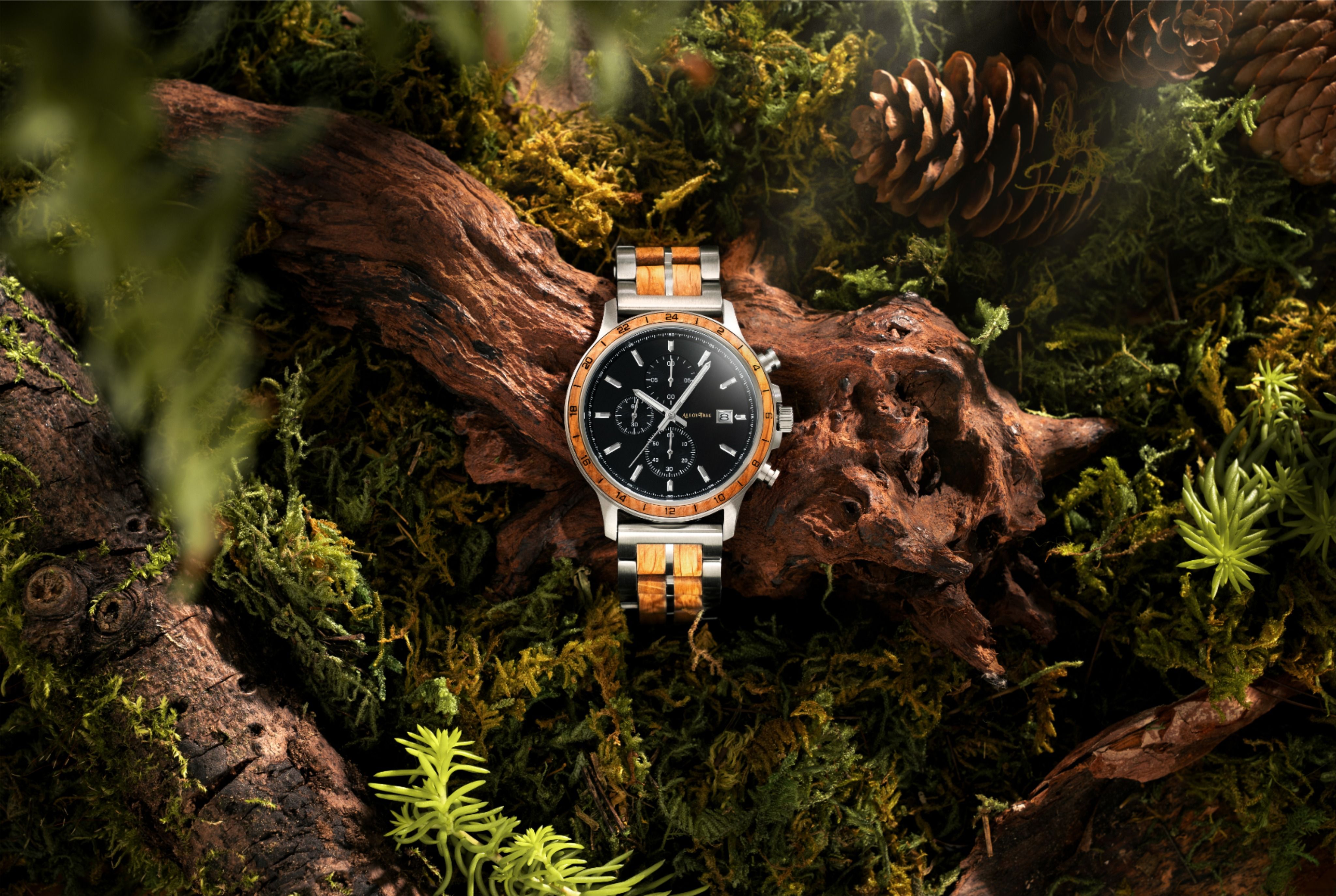 Luxury Watch On Mossy Forest Log Genflow template preview