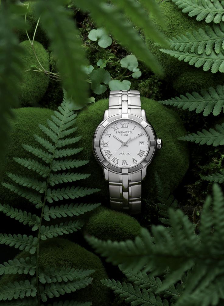Luxury Silver Watch In Forest Moss Genflow template preview