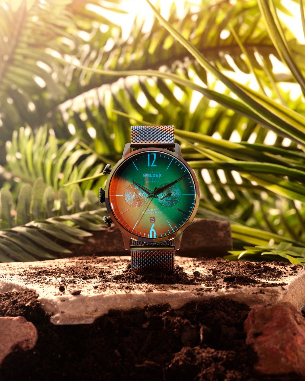 Sunlit Tropical Watch Product Scene Genflow template preview