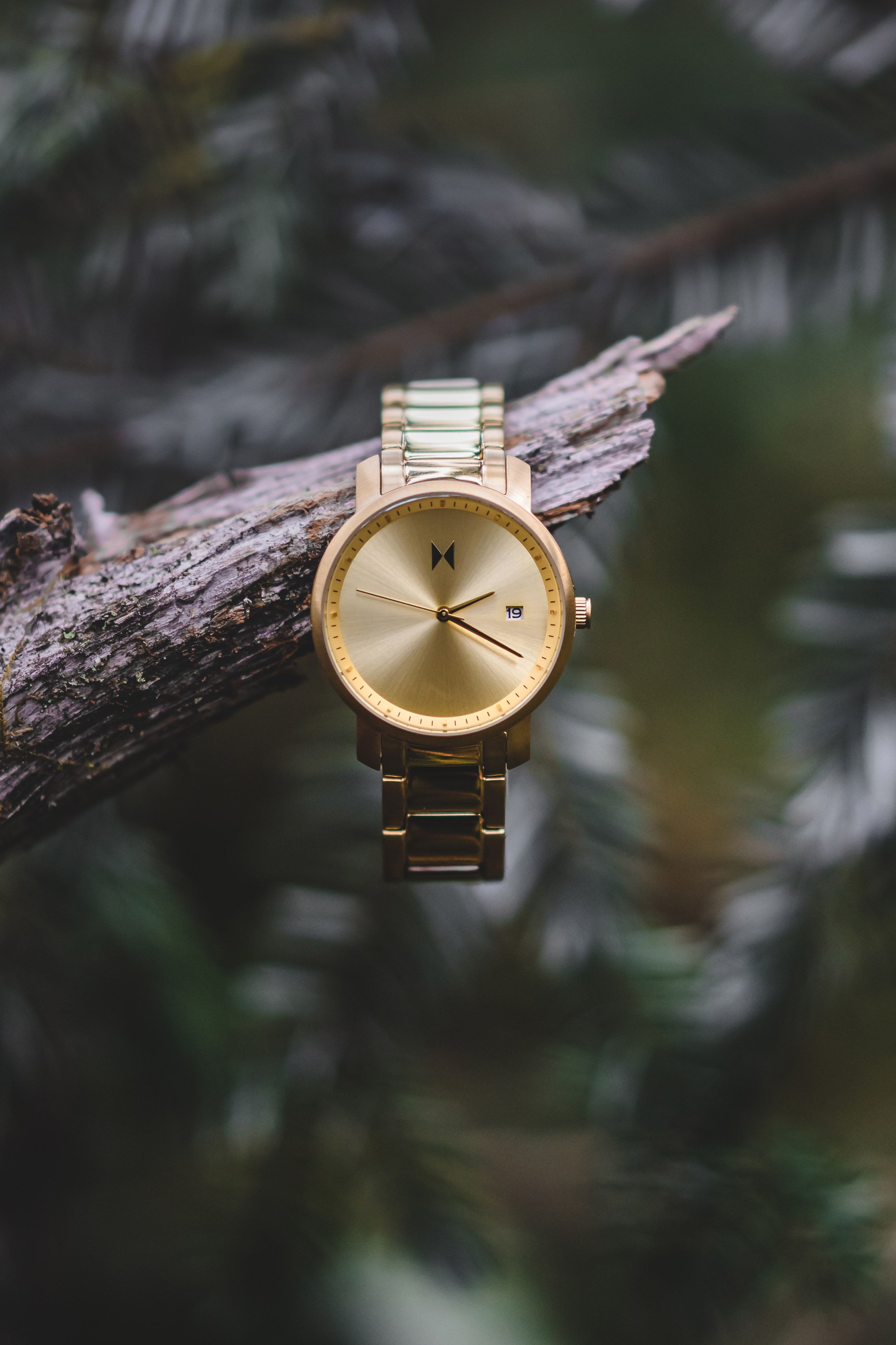 Luxury Gold Watch In Forest Genflow template preview