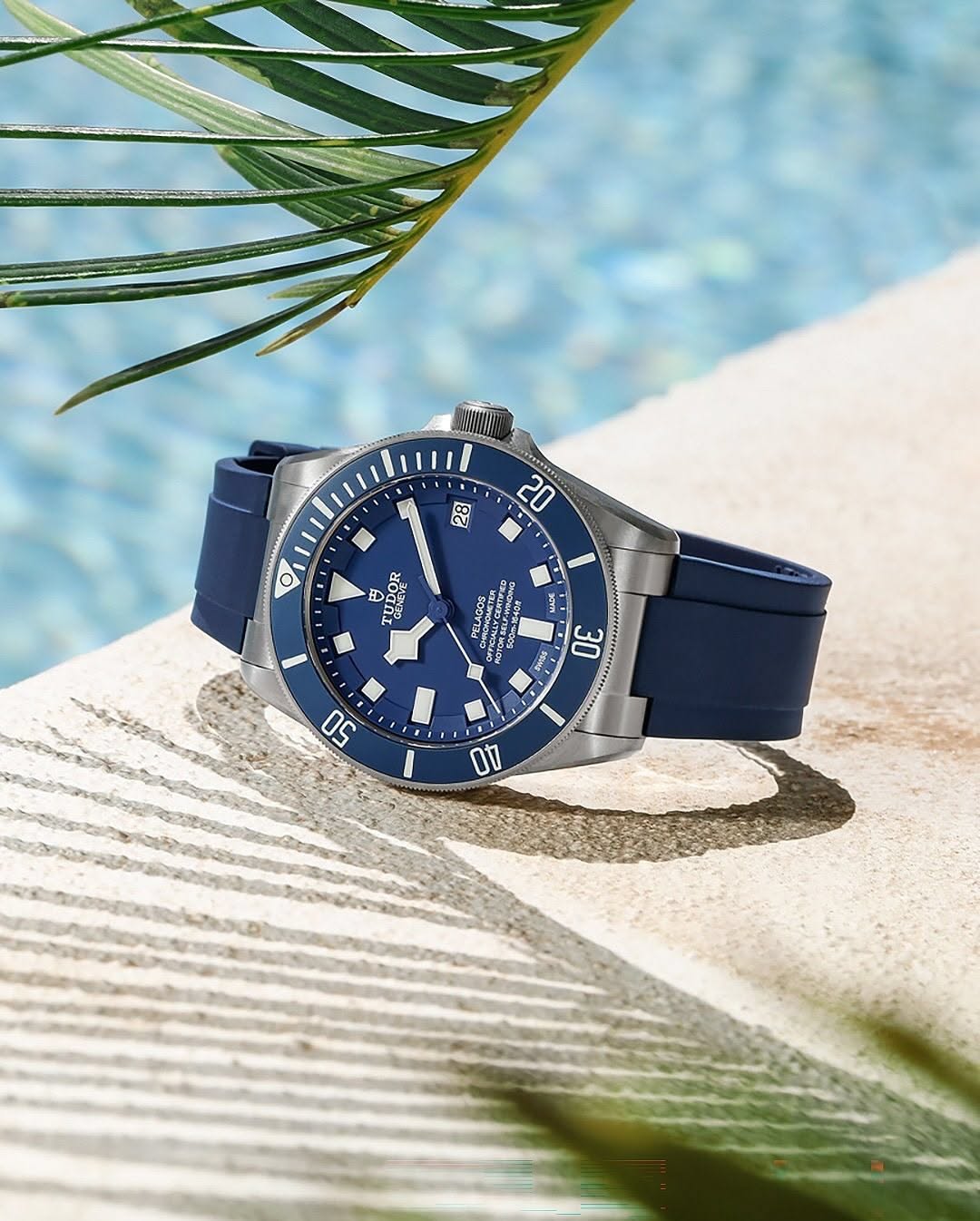 Tropical Poolside Luxury Watch Ad Genflow テンプレートプレビュー