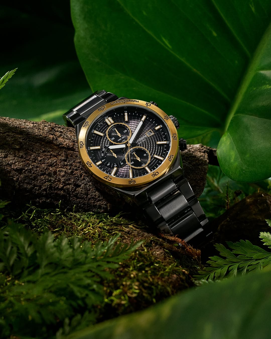 Luxury Chronograph Watch In Lush Jungle Genflow template preview