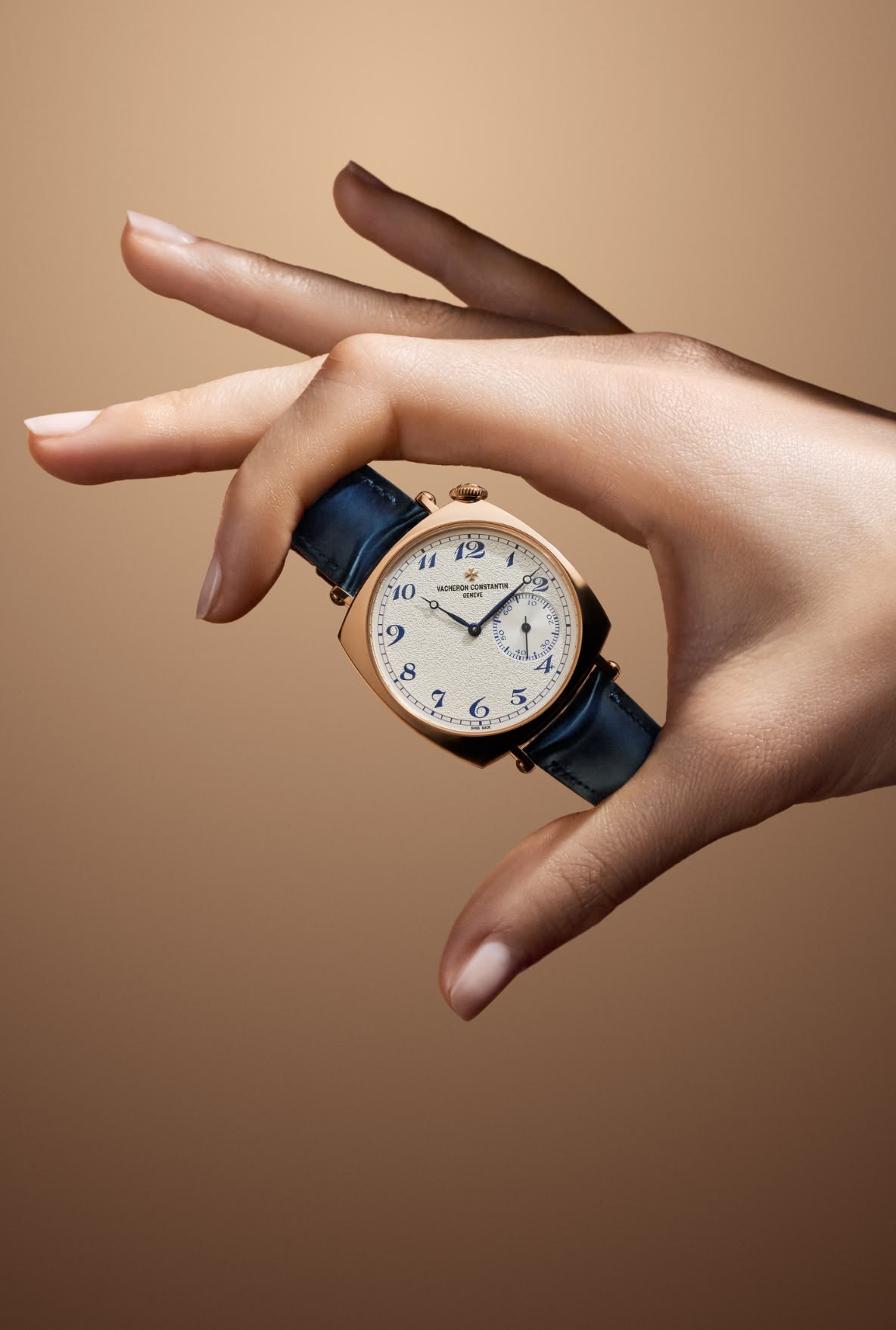 Elegant Hand Holding Luxury Watch Genflow template preview