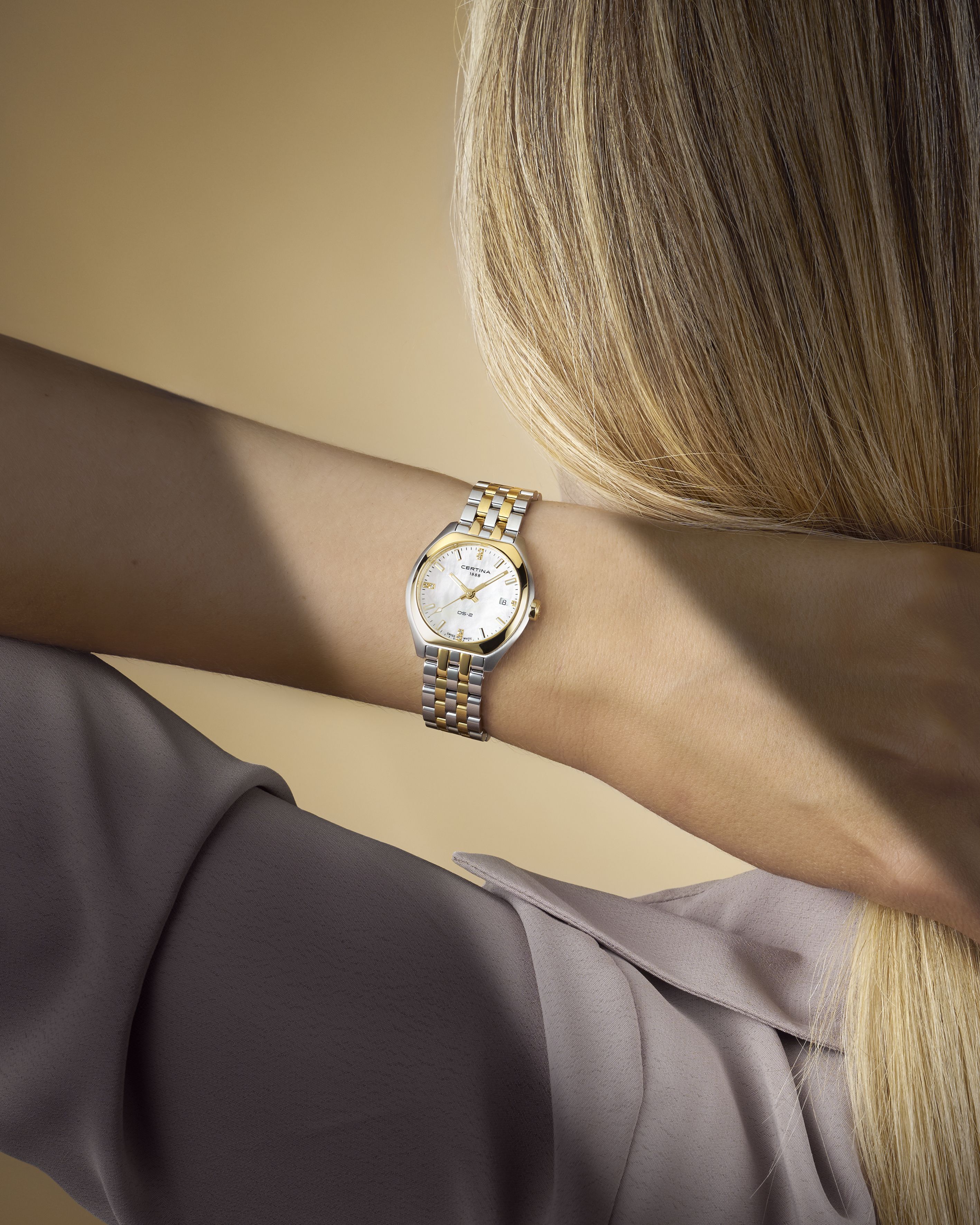 Luxury Two Tone Watch Wrist Closeup Genflow template preview