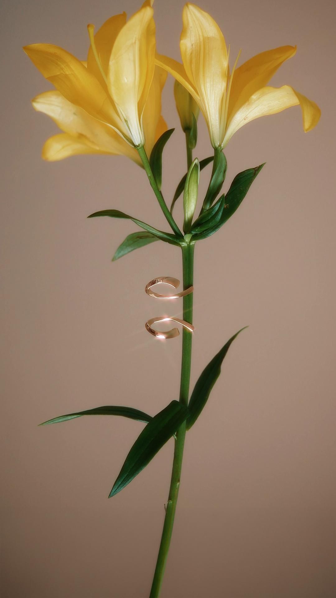 Elegant Gold Rings On Lily Stem Genflow template preview