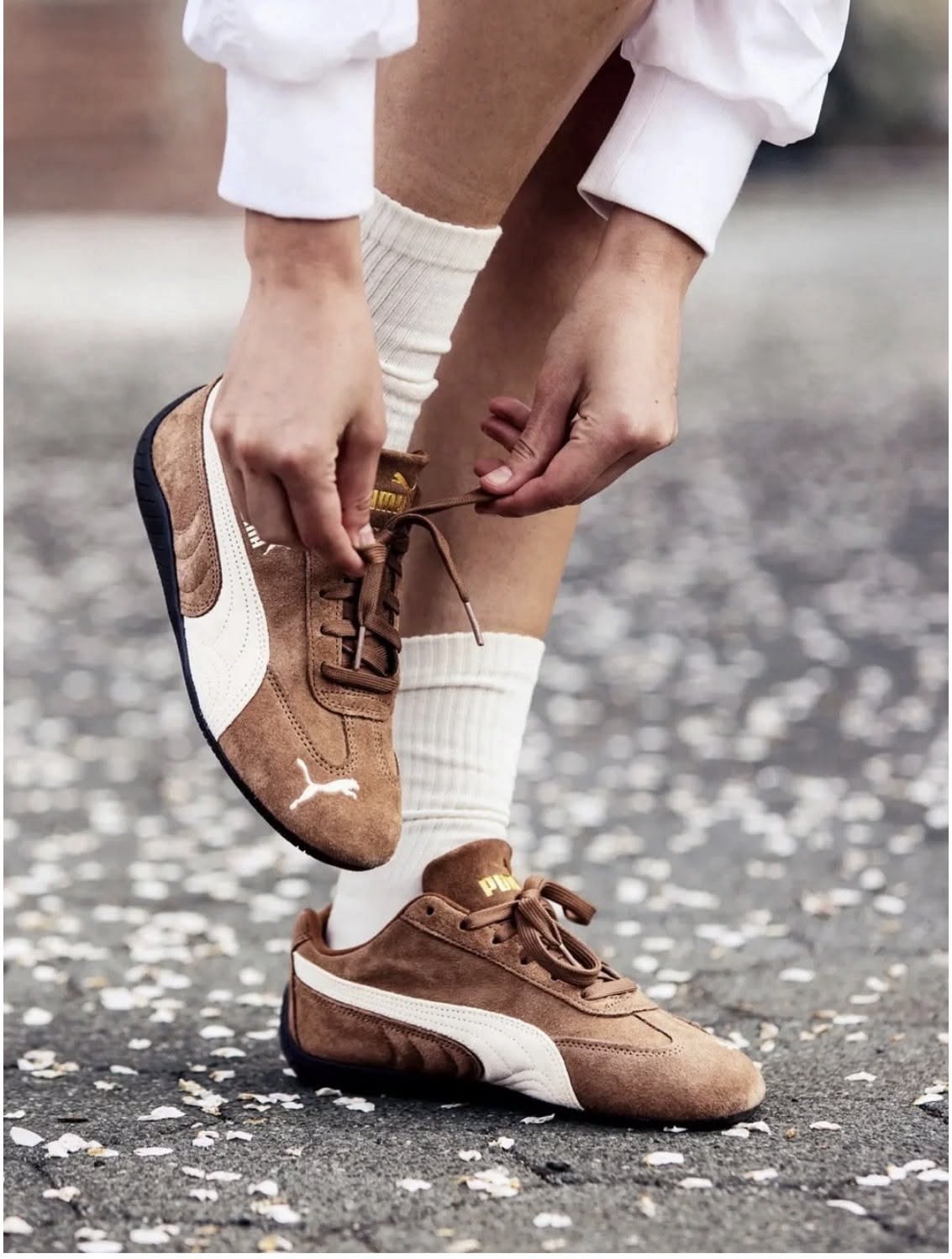 Puma Speedcat Og Sz 8.5 Sneakers Brown Creative Design Generator Genflow テンプレートプレビュー