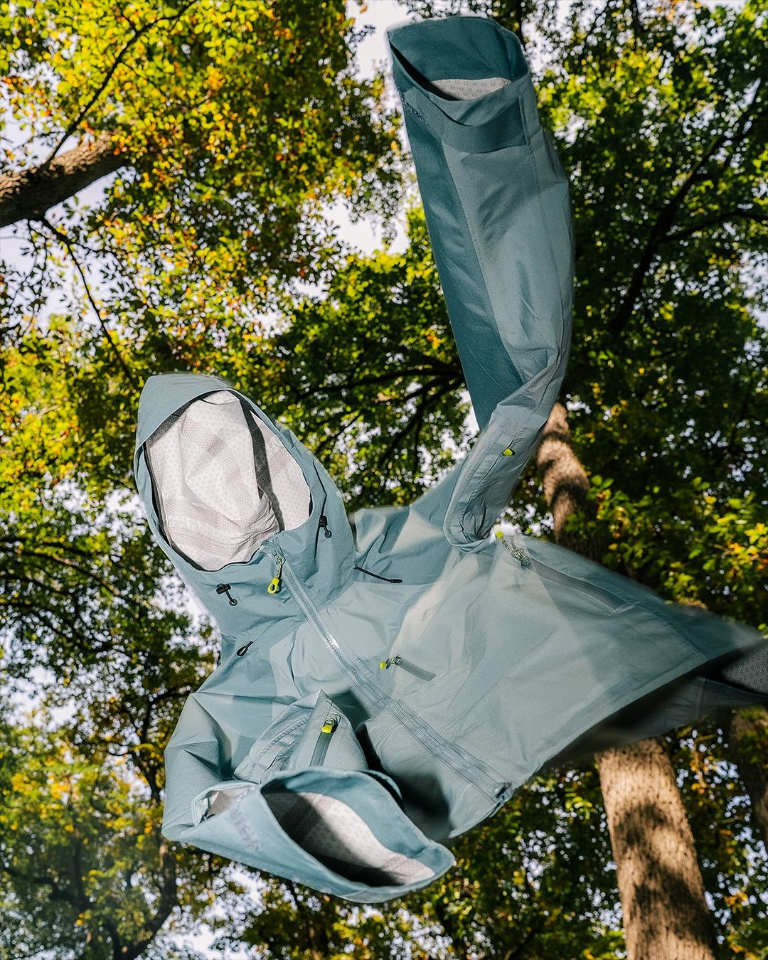 A Blue Jacket Hanging From A Tree With Trees In The Background And Sunlight Shining On It Creative Design Generator Genflow テンプレートプレビュー